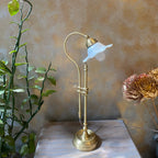 Vintage-style brass lamp with white glass shade on a wooden surface, next to a plant and flowers.