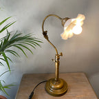 Vintage-style brass desk lamp on a wooden surface with a plant in the background