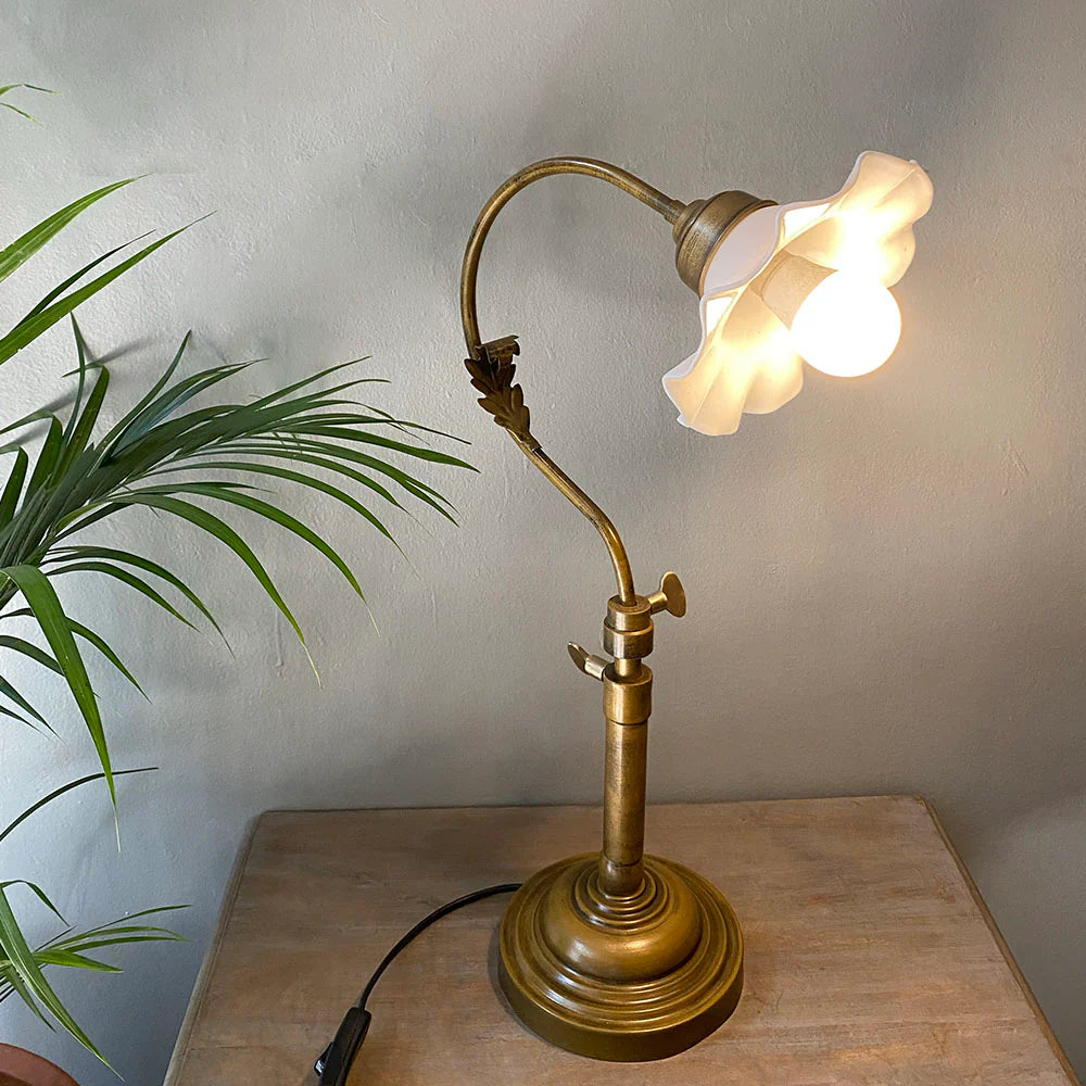 Vintage-style brass desk lamp on a wooden surface with a plant in the background