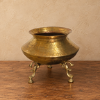 Brass planter with peacock legs for traditional home decor