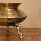 Brass planter with peacock legs