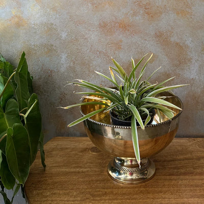 Rare Vintage Antique Brass/Pital Planter
