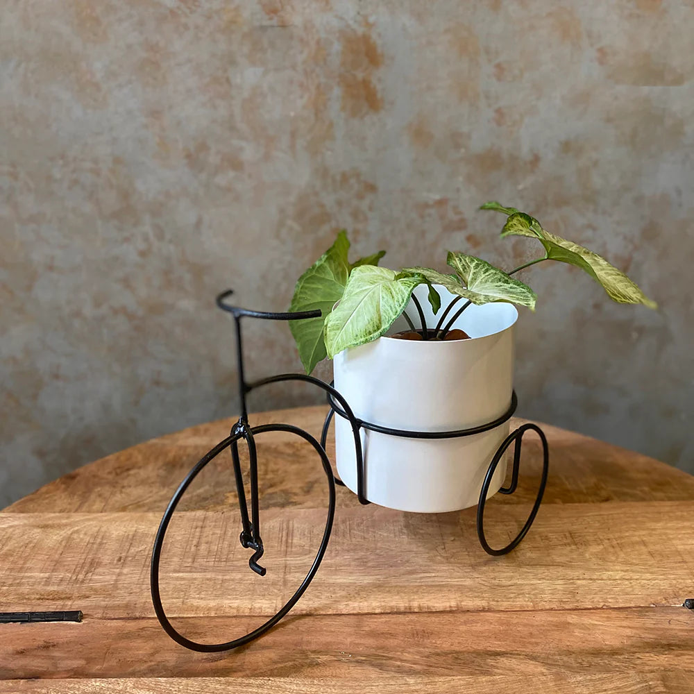 Cycle Metal planter
