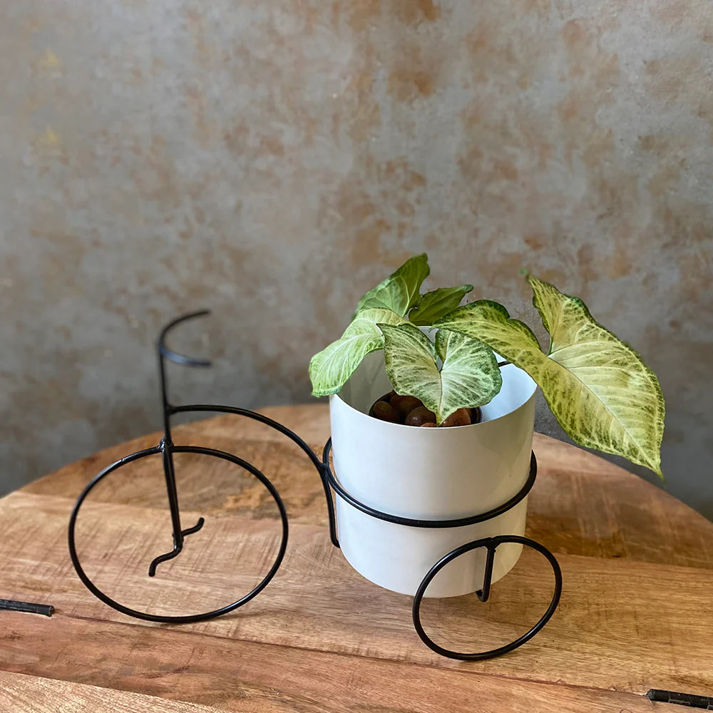 Cycle Metal planter