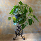 Rust Garden Table / Pot Holder