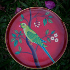 Pichwai Parrot Handpainted Wall Plate - 10"