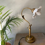 Vintage-style brass lamp with white floral shade on a wooden surface next to a plant.