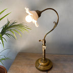 Vintage-style brass lamp on a wooden surface with a plant in the background