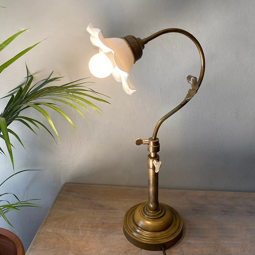 Vintage-style brass lamp on a wooden surface with a plant in the background